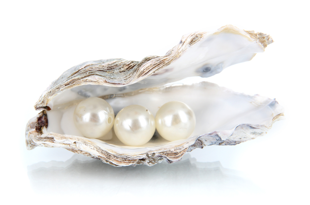 Open Oyster With Pearls